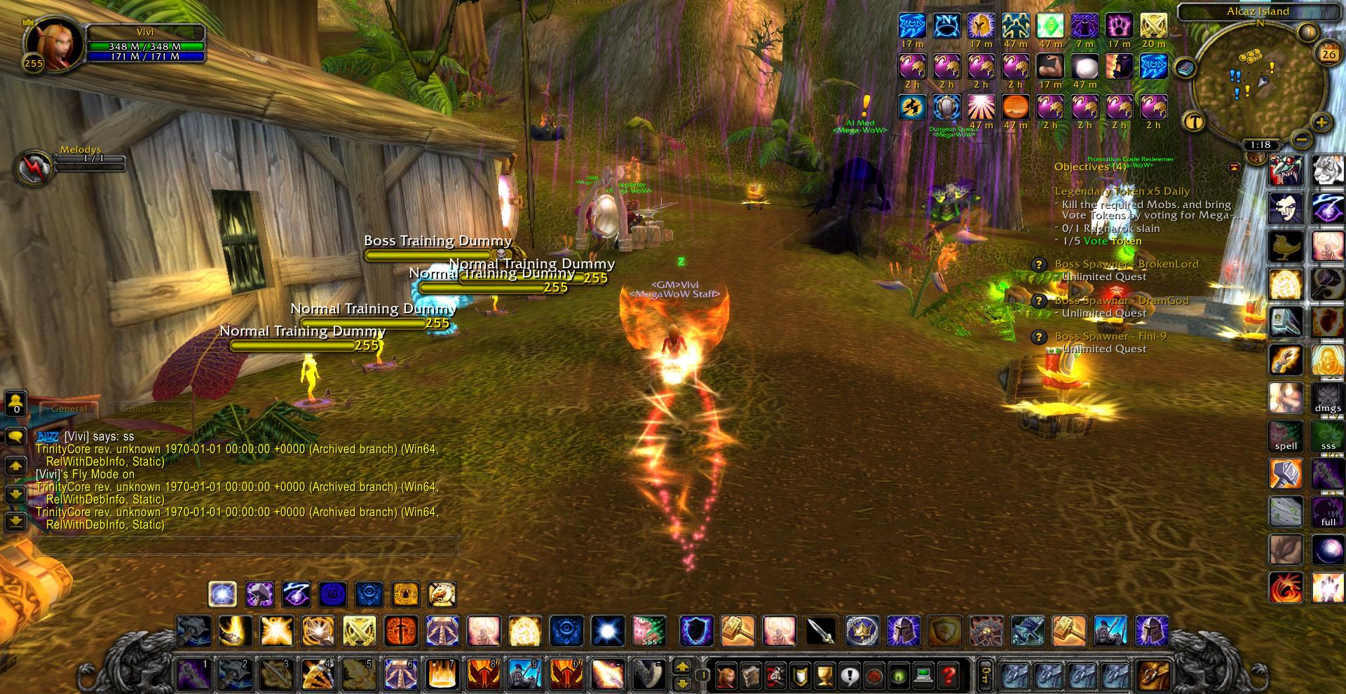 mega-wow-3.3.5a-fun-server